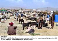 Filename=app27-28quetta.jpg
Filesize=255KiB
Dimensions=1200x856
Date added=Jul 28, 2020 app27-28quetta.jpg