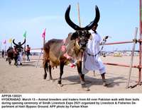 Filename=app28-130321hyderabad.jpg
Filesize=206KiB
Dimensions=1200x936
Date added=Mar 13, 2021 app28-130321hyderabad.jpg