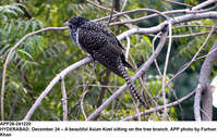 Filename=app28-241220hyderabad.jpg
Filesize=287KiB
Dimensions=1200x766
Date added=Dec 24, 2020 app28-241220hyderabad.jpg