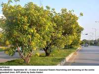 Filename=app29-02islamabad.jpg
Filesize=362KiB
Dimensions=1200x900
Date added=Sep 02, 2020 app29-02islamabad.jpg