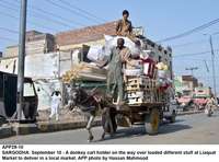 Filename=app29-10sargodha.jpg
Filesize=213KiB
Dimensions=1200x888
Date added=Sep 10, 2020 app29-10sargodha.jpg