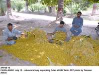Filename=app29-15faisalabad.jpg
Filesize=259KiB
Dimensions=1200x909
Date added=Jul 15, 2020 app29-15faisalabad.jpg