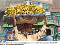 Filename=app29-25multan.jpg
Filesize=226KiB
Dimensions=1200x885
Date added=Oct 25, 2020 app29-25multan.jpg