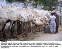 Filename=app29-30karachi.jpg
Filesize=233KiB
Dimensions=1200x957
Date added=Jul 30, 2020 app29-30karachi.jpg