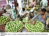 Filename=app30-15faisalabad.jpg
Filesize=208KiB
Dimensions=1200x893
Date added=Jul 15, 2020 app30-15faisalabad.jpg