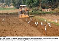 Filename=app30-25multan.jpg
Filesize=361KiB
Dimensions=1200x826
Date added=Oct 25, 2020 app30-25multan.jpg