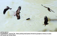 Filename=app30-260121hyderabad.jpg
Filesize=394KiB
Dimensions=1200x761
Date added=Jan 26, 2021 app30-260121hyderabad.jpg