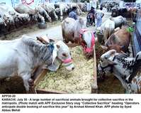 Filename=app30-30karachi.jpg
Filesize=294KiB
Dimensions=1200x957
Date added=Jul 30, 2020 app30-30karachi.jpg