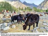 Filename=app31-190721gilgit_copy.jpg
Filesize=343KiB
Dimensions=1182x883
Date added=Jul 19, 2021 app31-190721gilgit_copy.jpg