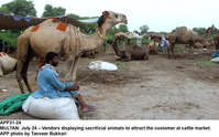 Filename=app31-24multan.jpg
Filesize=281KiB
Dimensions=1200x748
Date added=Jul 24, 2020 app31-24multan.jpg