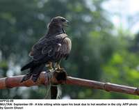 Filename=app32-09multan.jpg
Filesize=161KiB
Dimensions=1200x948
Date added=Sep 09, 2020 app32-09multan.jpg