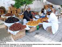 Filename=app32-18bahawalpur.jpg
Filesize=229KiB
Dimensions=1200x900
Date added=Sep 18, 2020 app32-18bahawalpur.jpg