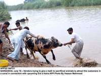Filename=app32-190721sargodha_.jpg
Filesize=210KiB
Dimensions=1200x905
Date added=Jul 19, 2021 app32-190721sargodha_.jpg