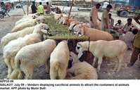 Filename=app33-09sialkot.jpg
Filesize=236KiB
Dimensions=1200x771
Date added=Jul 09, 2020 app33-09sialkot.jpg