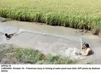 Filename=app33-19larkana.jpg
Filesize=307KiB
Dimensions=1200x869
Date added=Oct 19, 2020 app33-19larkana.jpg