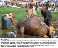 Filename=app33-200721lahore.jpg
Filesize=349KiB
Dimensions=1200x1004
Date added=Jul 20, 2021 app33-200721lahore.jpg