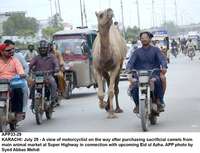 Filename=app33-29karachi.jpg
Filesize=177KiB
Dimensions=1200x919
Date added=Jul 29, 2020 app33-29karachi.jpg