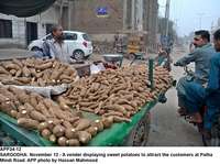 Filename=app34-12sargodha~0.jpg
Filesize=253KiB
Dimensions=1200x894
Date added=Nov 12, 2020 app34-12sargodha~0.jpg
