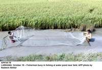Filename=app34-19larkana.jpg
Filesize=316KiB
Dimensions=1200x836
Date added=Oct 19, 2020 app34-19larkana.jpg