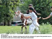 Filename=app34-200721islamabad.jpg
Filesize=186KiB
Dimensions=1200x912
Date added=Jul 20, 2021 app34-200721islamabad.jpg