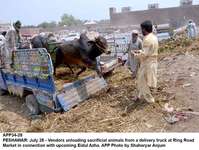 Filename=app34-28peshawar.jpg
Filesize=333KiB
Dimensions=1200x903
Date added=Jul 28, 2020 app34-28peshawar.jpg