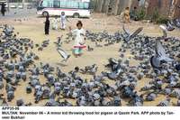 Filename=app35-06multan~0.jpg
Filesize=411KiB
Dimensions=1200x798
Date added=Nov 06, 2020 app35-06multan~0.jpg