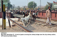 Filename=app35-07multan.jpg
Filesize=420KiB
Dimensions=1200x790
Date added=Nov 07, 2020 app35-07multan.jpg