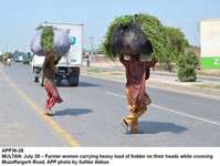 Filename=app36-28multan.jpg
Filesize=186KiB
Dimensions=1200x903
Date added=Jul 28, 2020 app36-28multan.jpg