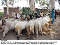 Filename=app36-29sialkot.jpg
Filesize=282KiB
Dimensions=1200x907
Date added=Jul 29, 2020 app36-29sialkot.jpg