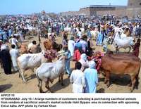 Filename=app37-15hyderabad.jpg
Filesize=277KiB
Dimensions=1200x932
Date added=Jul 15, 2020 app37-15hyderabad.jpg