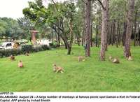 Filename=app37-26islamabad.jpg
Filesize=313KiB
Dimensions=1200x876
Date added=Aug 26, 2020 app37-26islamabad.jpg