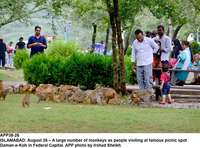 Filename=app38-26islamabad.jpg
Filesize=249KiB
Dimensions=1200x890
Date added=Aug 26, 2020 app38-26islamabad.jpg