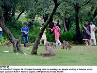 Filename=app39-26islamabad.jpg
Filesize=236KiB
Dimensions=1200x902
Date added=Aug 26, 2020 app39-26islamabad.jpg