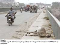 Filename=app40-15lahore.jpg
Filesize=148KiB
Dimensions=1200x911
Date added=Jul 15, 2020 app40-15lahore.jpg