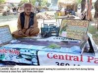Filename=app41-010321lahore.jpg
Filesize=265KiB
Dimensions=1200x891
Date added=Mar 01, 2021 app41-010321lahore.jpg