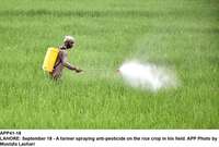 Filename=app41-18lahore.jpg
Filesize=211KiB
Dimensions=1200x812
Date added=Sep 18, 2020 app41-18lahore.jpg