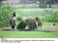 Filename=app42-13faisalabad.jpg
Filesize=285KiB
Dimensions=1200x903
Date added=Jul 13, 2020 app42-13faisalabad.jpg