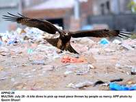 Filename=app42-28multan.jpg
Filesize=197KiB
Dimensions=1200x897
Date added=Jul 28, 2020 app42-28multan.jpg