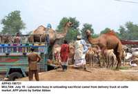 Filename=app43-190721multan.jpg
Filesize=177KiB
Dimensions=1200x818
Date added=Jul 19, 2021 app43-190721multan.jpg