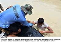 Filename=app44-10larkana.jpg
Filesize=162KiB
Dimensions=1200x836
Date added=Aug 10, 2020 app44-10larkana.jpg