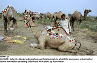 Filename=app44-24lahore.jpg
Filesize=343KiB
Dimensions=1200x782
Date added=Jul 24, 2020 app44-24lahore.jpg