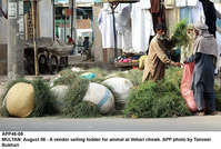 Filename=app46-08multan.jpg
Filesize=340KiB
Dimensions=1200x809
Date added=Aug 08, 2020 app46-08multan.jpg
