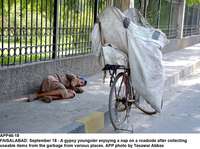Filename=app46-18faisalabad.jpg
Filesize=290KiB
Dimensions=1200x894
Date added=Sep 18, 2020 app46-18faisalabad.jpg