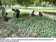 Filename=app47-20multan.jpg
Filesize=391KiB
Dimensions=1200x892
Date added=Jul 20, 2020 app47-20multan.jpg
