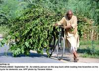 Filename=app48-18faisalabad.jpg
Filesize=351KiB
Dimensions=1200x870
Date added=Sep 18, 2020 app48-18faisalabad.jpg