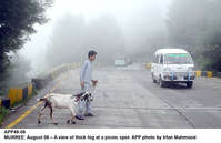 Filename=app49-08murree.jpg
Filesize=223KiB
Dimensions=1200x776
Date added=Aug 08, 2020 app49-08murree.jpg
