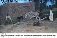 Filename=app49-22sargodha.jpg
Filesize=205KiB
Dimensions=1200x799
Date added=Oct 22, 2020 app49-22sargodha.jpg