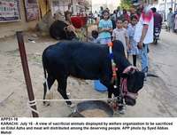 Filename=app51-16karachi.jpg
Filesize=256KiB
Dimensions=1200x913
Date added=Jul 16, 2020 app51-16karachi.jpg
