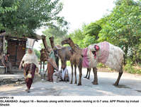 Filename=app51-18islamabad.jpg
Filesize=308KiB
Dimensions=1200x916
Date added=Aug 18, 2020 app51-18islamabad.jpg