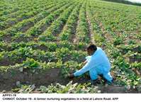 Filename=app51-19chiniot.jpg
Filesize=194KiB
Dimensions=1200x869
Date added=Oct 19, 2020 app51-19chiniot.jpg